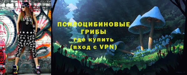 ПСИЛОЦИБИНОВЫЕ ГРИБЫ Армянск
