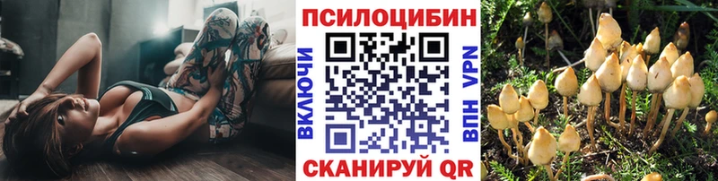 Галлюциногенные грибы Cubensis гидра ONION Асино